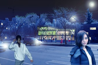 COLLAGE FOTO ACCESO BR